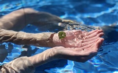 葫芦娃主题曲mv下载